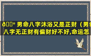 💮 男命八字沐浴又是正财（男命八字无正财有偏财好不好,命运怎么样）